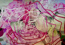 A Rose is a Rose-1