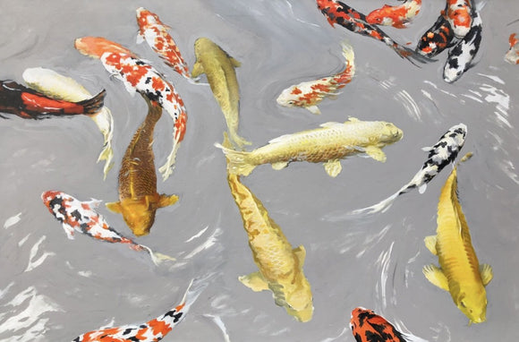 Koi 1