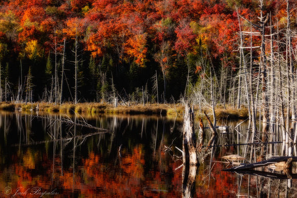 Reflections