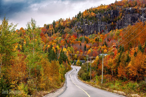 The way into fall