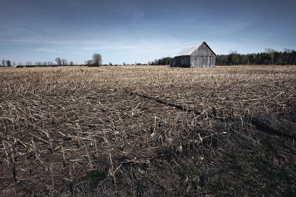 Farmland