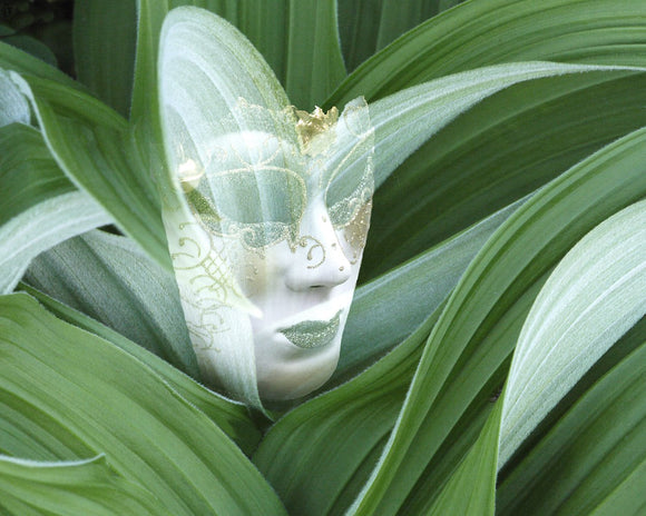 The Masks of Venice (vii)