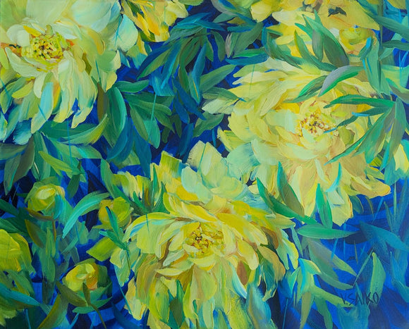 Yellow Peonies. Sunny Day