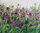 Tulips-1