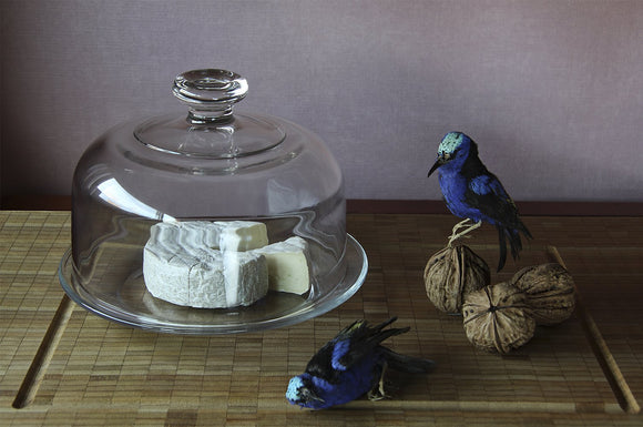 Still Life