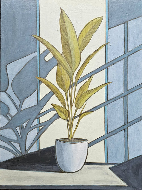 Banana Plant