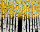 Golden Birches No.3-1