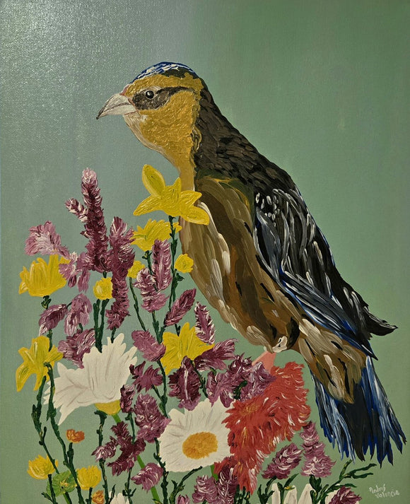 Blue Bird
