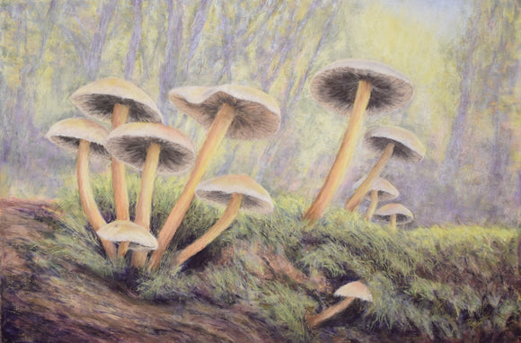 Woodland Wonder