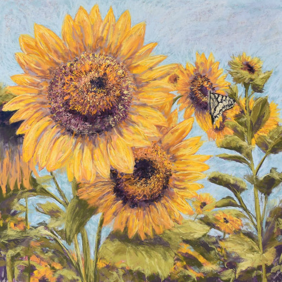 Sunflower Fields Forever