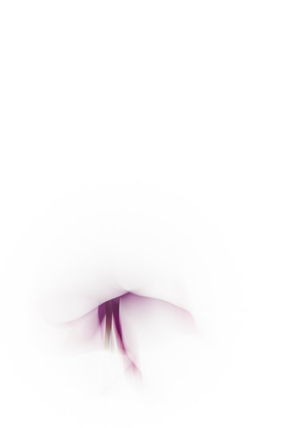 Shapeshifting I