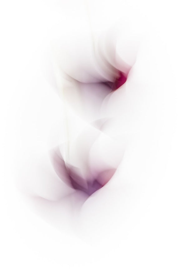 Shapeshifting II