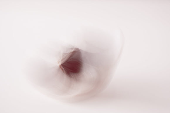 What Goes Around II