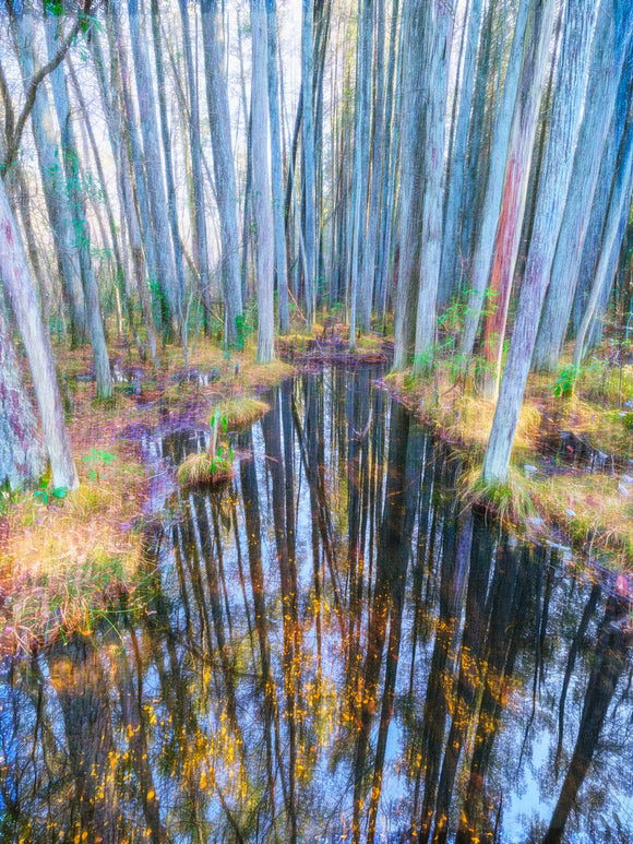 Reflections of Serenity
