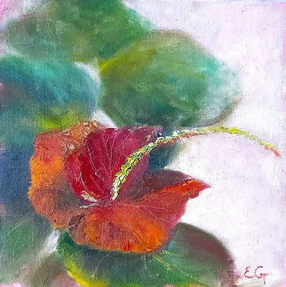 Caribian Flower
