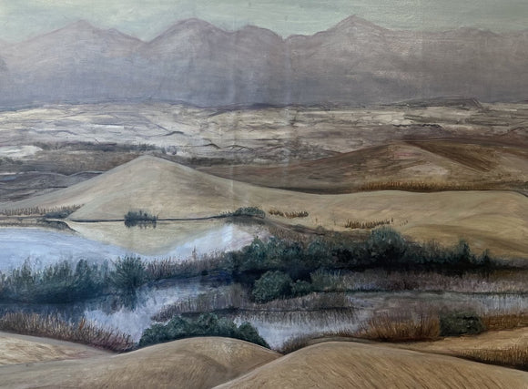 Desert Lake