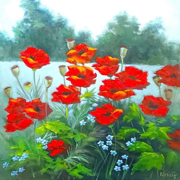 In a Field of Poppies