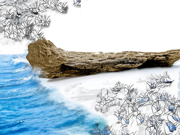 Driftwood Dreams