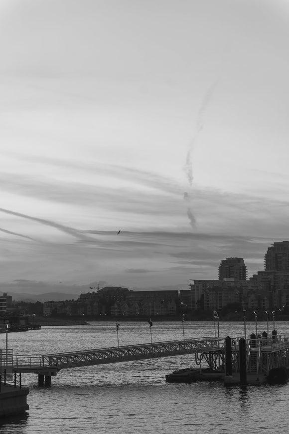 Flight Over Still Waters