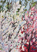 Bloom in my yard-1