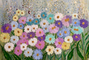 Daisies-1