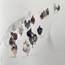 Backyard chickens-1