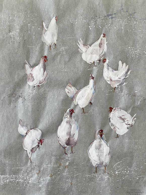 White Hens, White on White