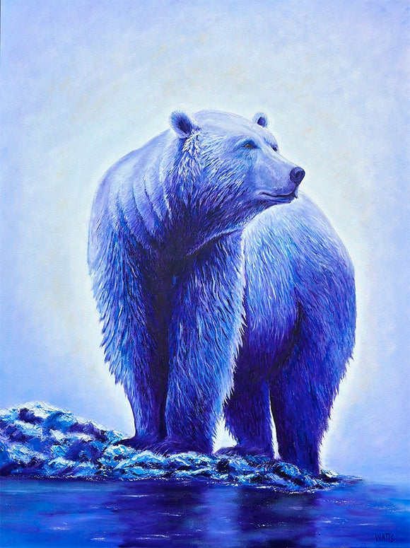 Arctic Tranquility