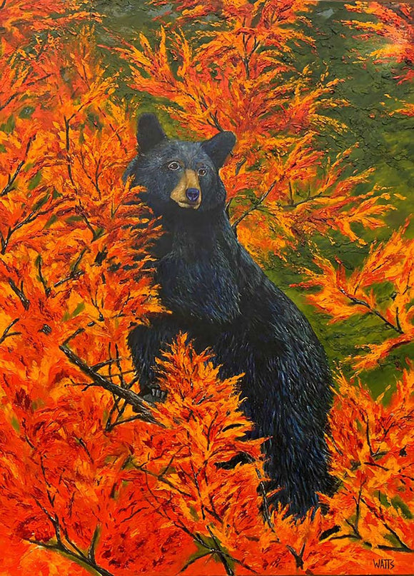 Elegant Beauty: 'BELLA' – Black Bear