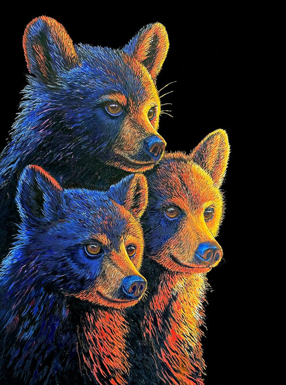 Trio Of Light: The Bear Cubs