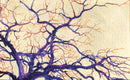 Winter Branches-1