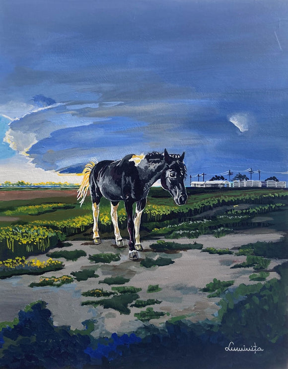 Storm Horse