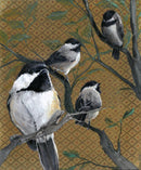 Collective-1