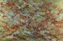 Autumn Leaves-1