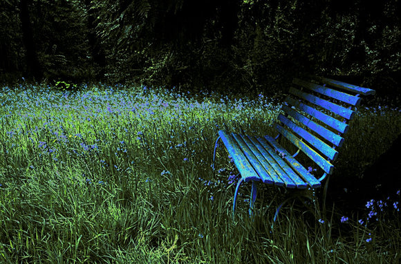 Blue Bench