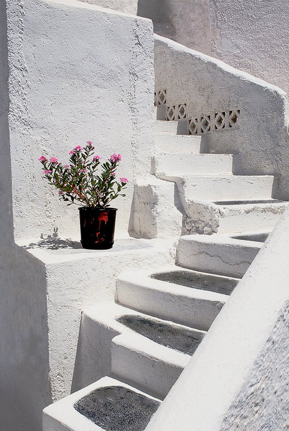 White Stairs