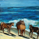 Wild Horses of Sable Island, Nova Scotia-1