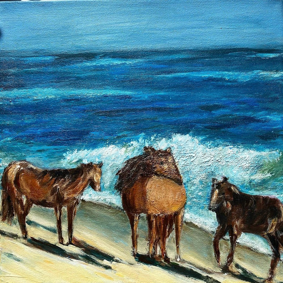 Wild Horses of Sable Island, Nova Scotia