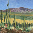 Saguaro National Park, Arizona-1