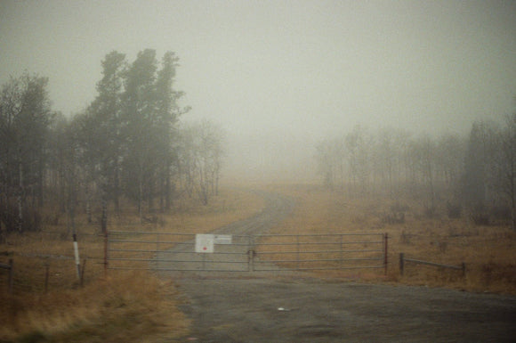 Series: The Silence in Between - 06