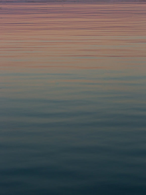 Series: The Silence in Between - 13