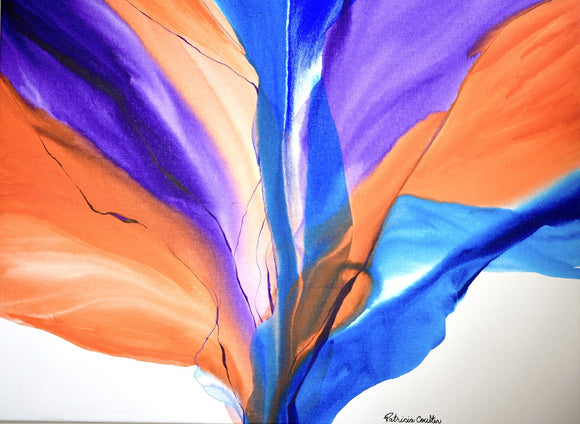 Hiking in the Canyon