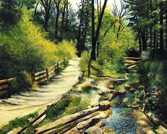Ravine Path