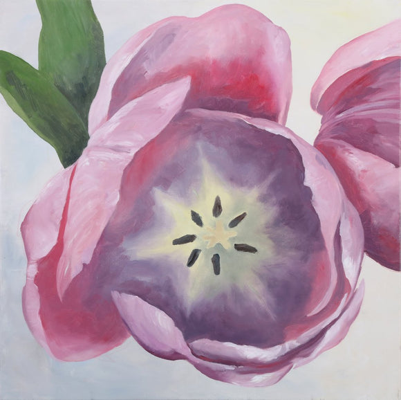 Open Tulip