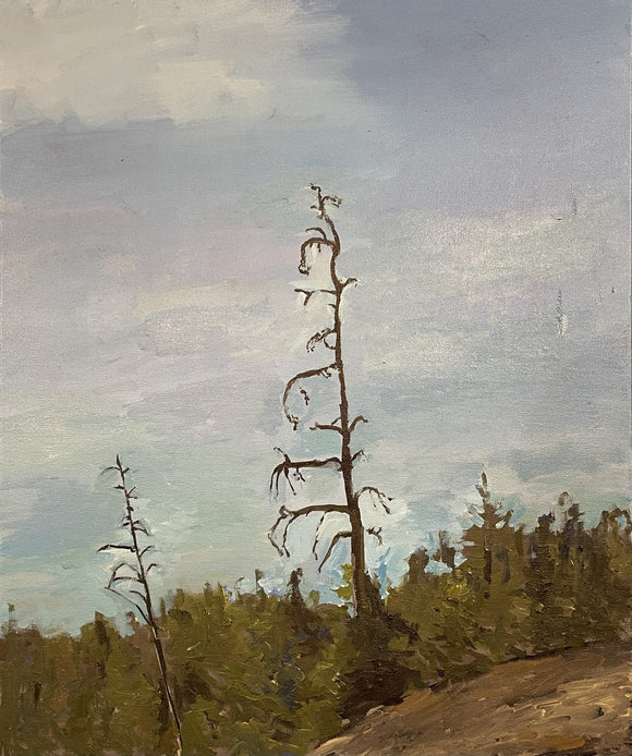 Canterra Road Snag