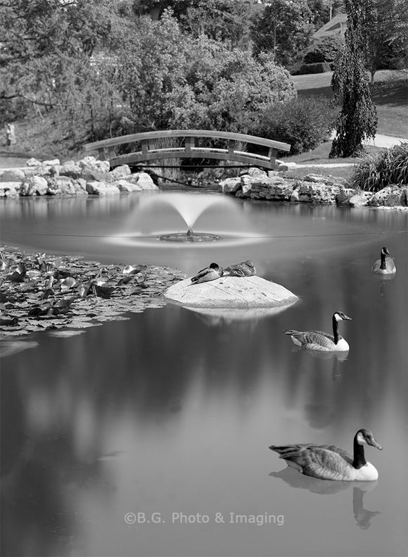 Family Outing