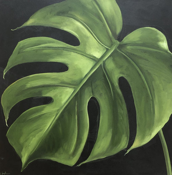 Monstera
