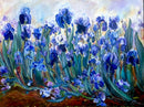 Irises Of Hope-1