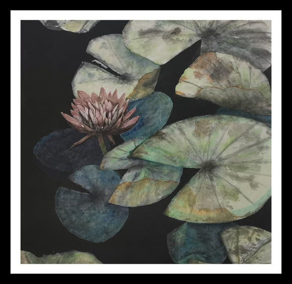 Lotus-in-the-Pond
