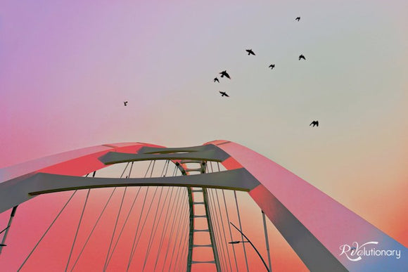 Rising Up – Where to From Here?